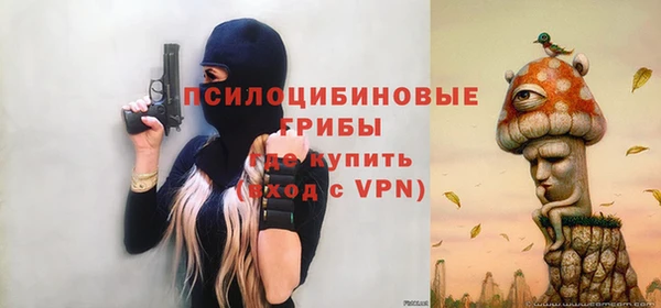 тгк Алзамай