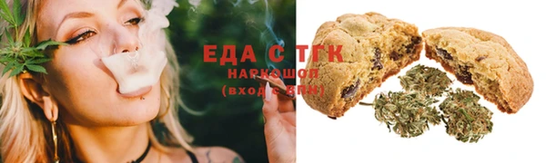 гашик Алексин