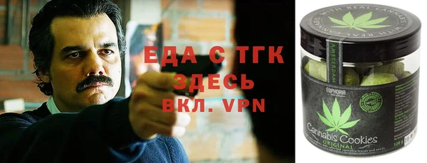 тгк Алзамай