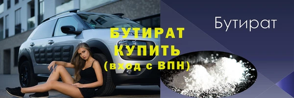 гашик Алексин