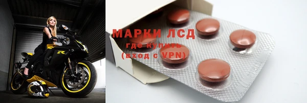 гашик Алексин
