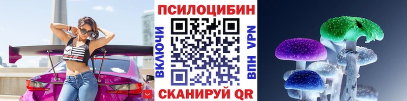 KRAKEN онион  Питкяранта  Галлюциногенные грибы Psilocybe 